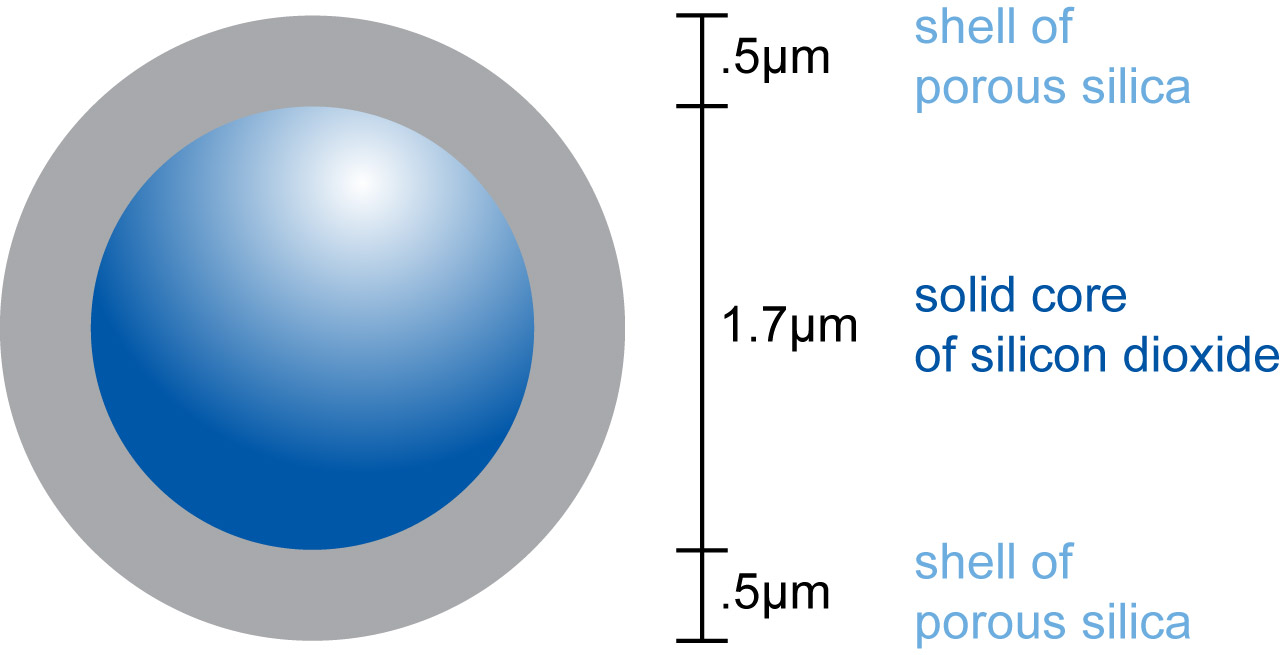 Nucleoshell