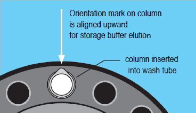 Column Preparation