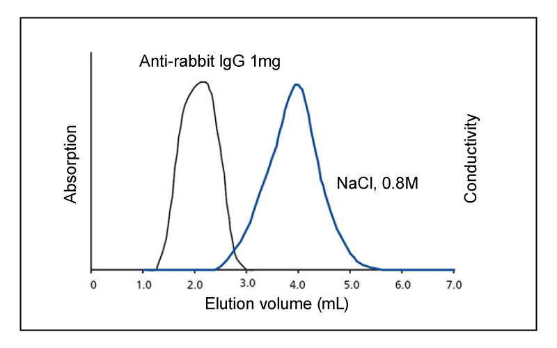 Clarion Protein Desalting Columns P