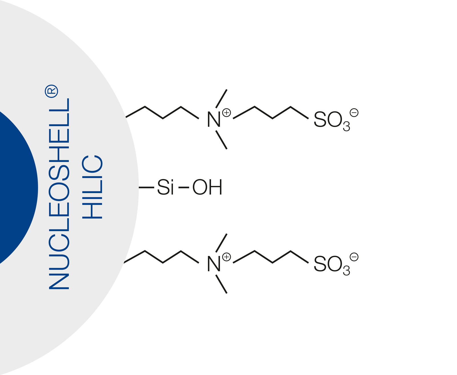 NUCLEOSHELL HILIC