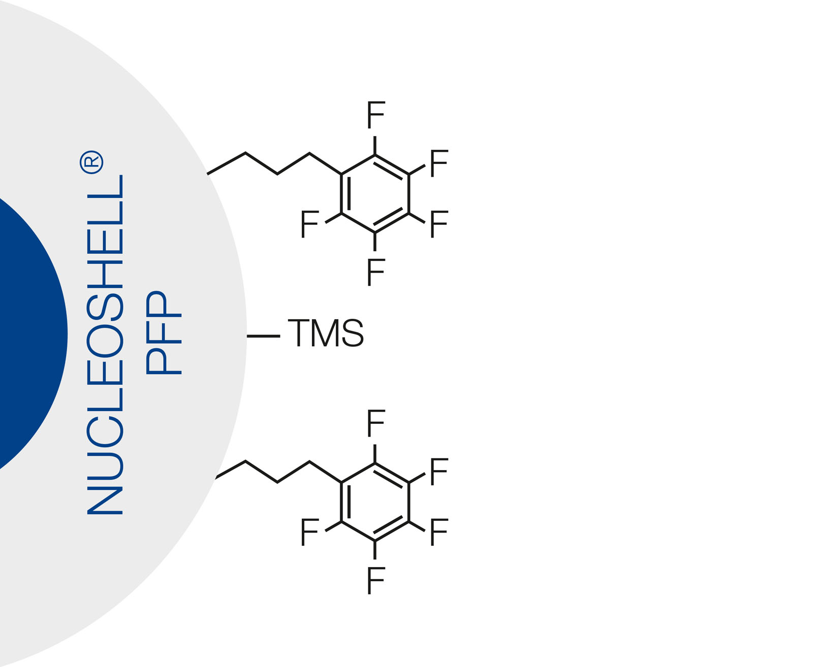 NUCLEOSHELL PFP