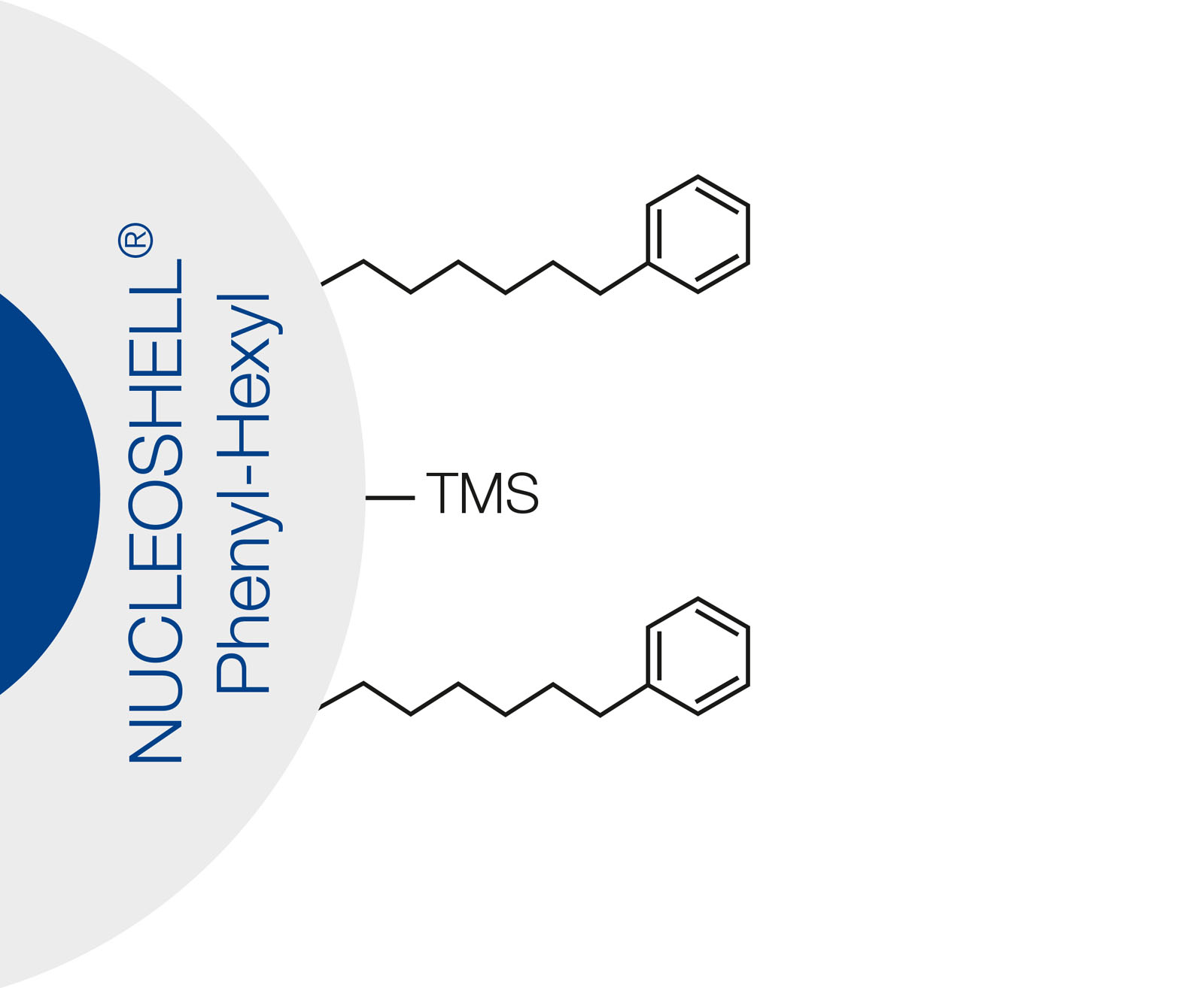 Nucleoshell Phenyl Hexyl