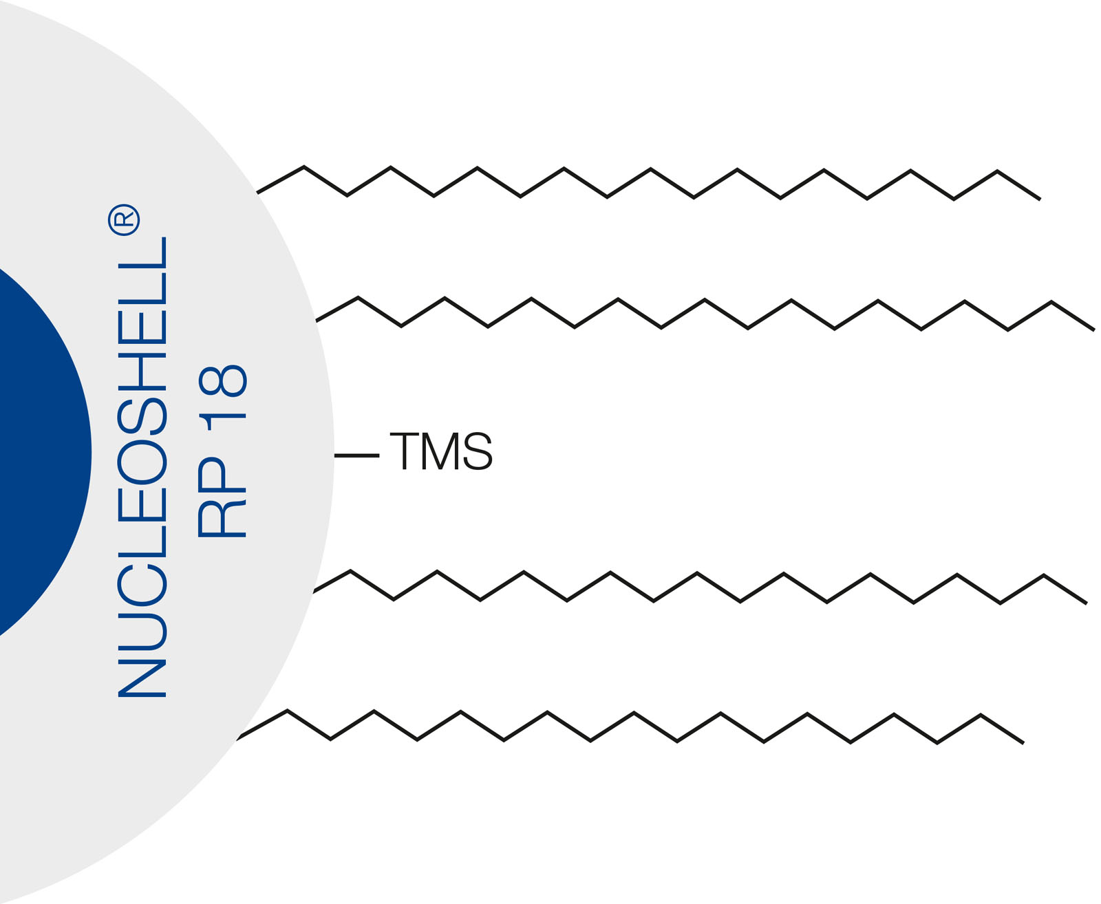 Nucleoshell RP 18