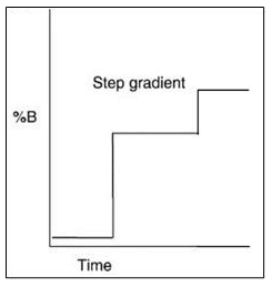 step gradient (1)