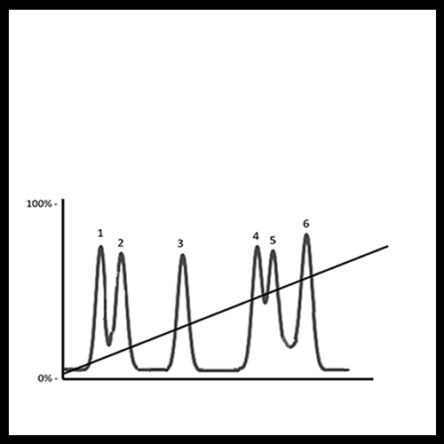 linear gradient (1)